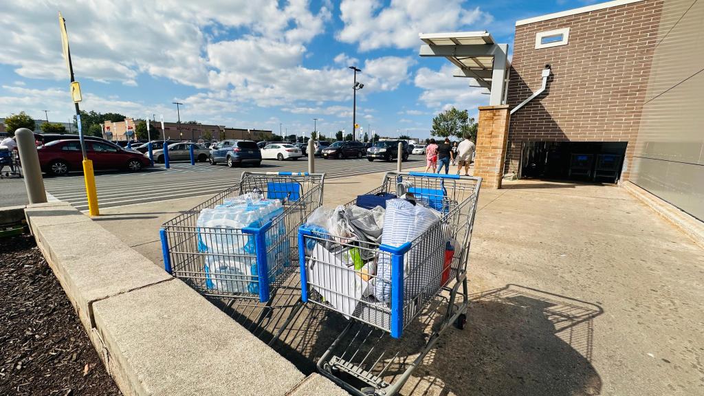 My First Walmart Shopping&nbsp;Spree